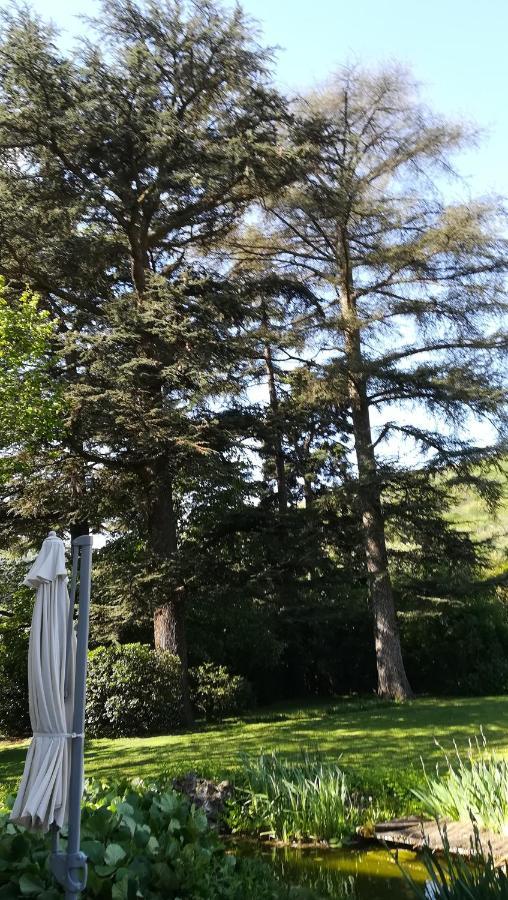 Bed and Breakfast Les Palmiers Mauves Экстерьер фото
