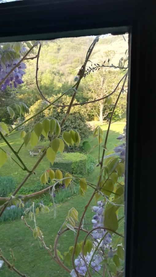 Bed and Breakfast Les Palmiers Mauves Экстерьер фото