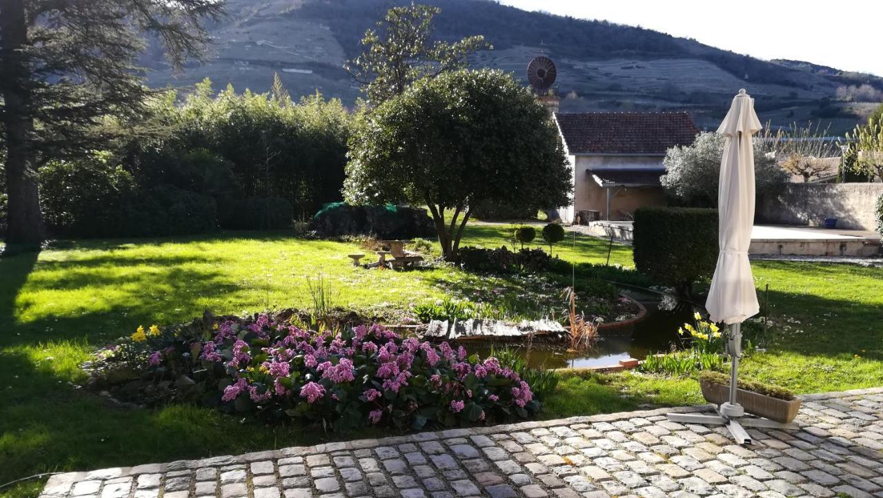 Bed and Breakfast Les Palmiers Mauves Экстерьер фото